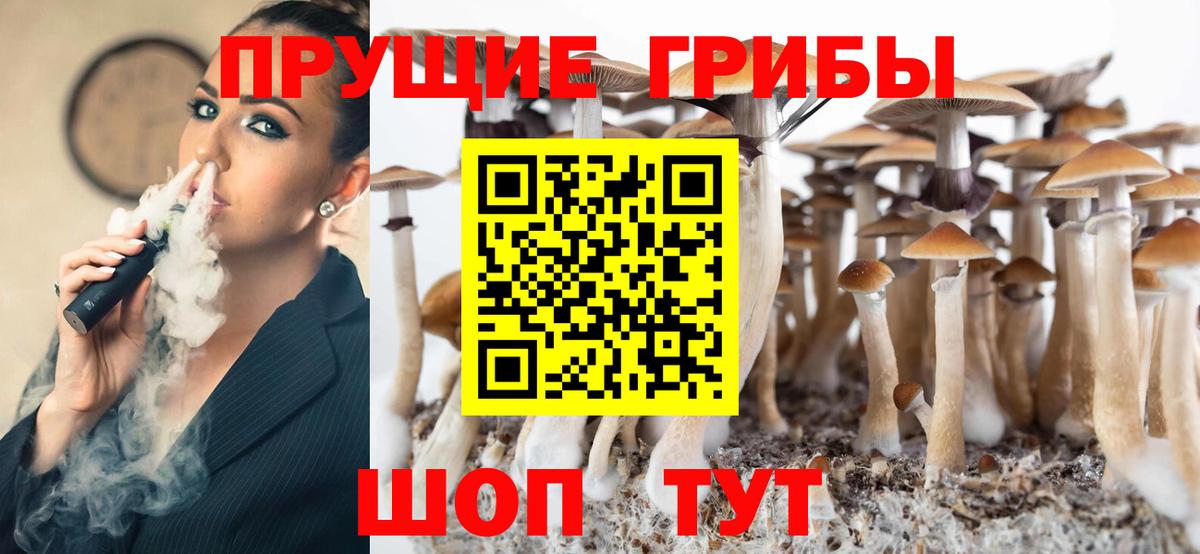 Анапа  Псилоцибиновые грибы Psilocybine cubensis  Вход с VPN  Галлюциногенные грибы Psilocybine cubensis 